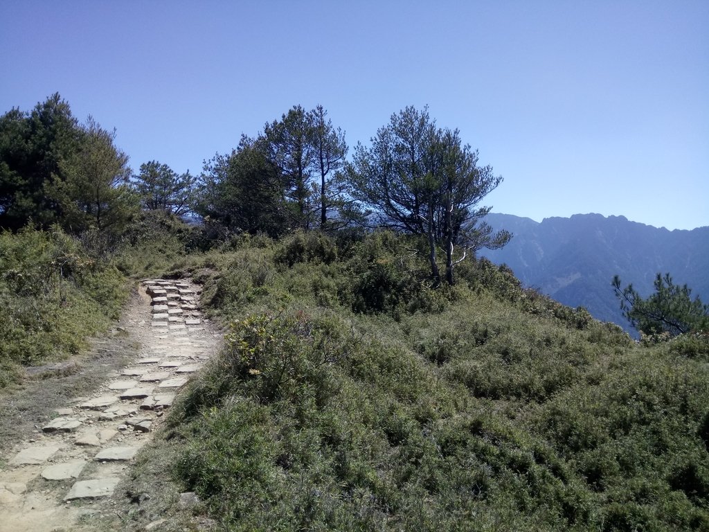 DSC_1690.JPG - 鹿林山  麟趾山步道  (02)