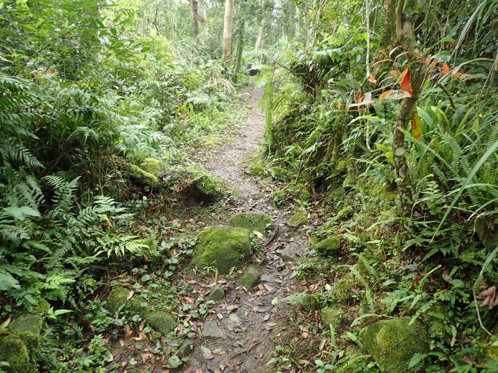 P3170383.JPG - 坪林  鬼子賴尖山