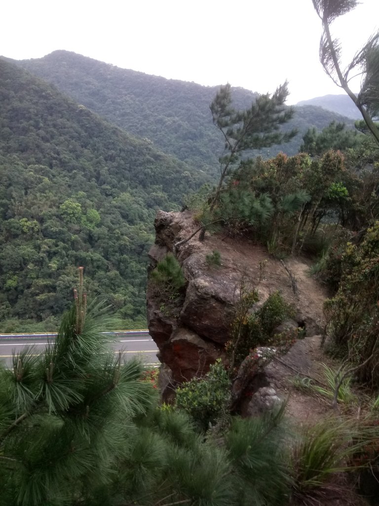 DSC_7041.JPG - 汐止  金面山(金明山)  稜線步道