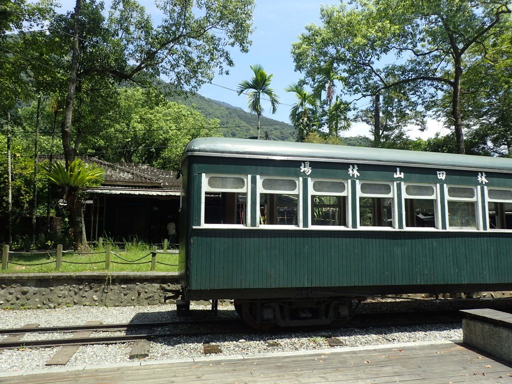 P9087895.JPG - 花蓮  鳳林  林田山林業文化園區