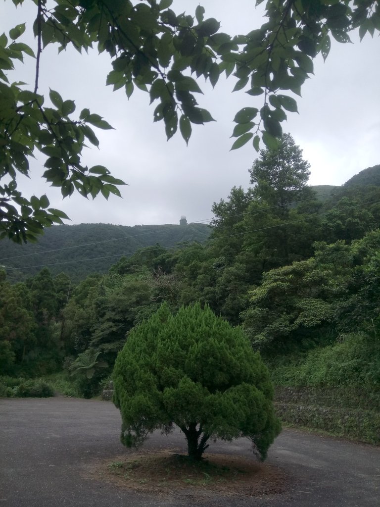 DSC_6602.JPG - 平溪  五分山登山步道