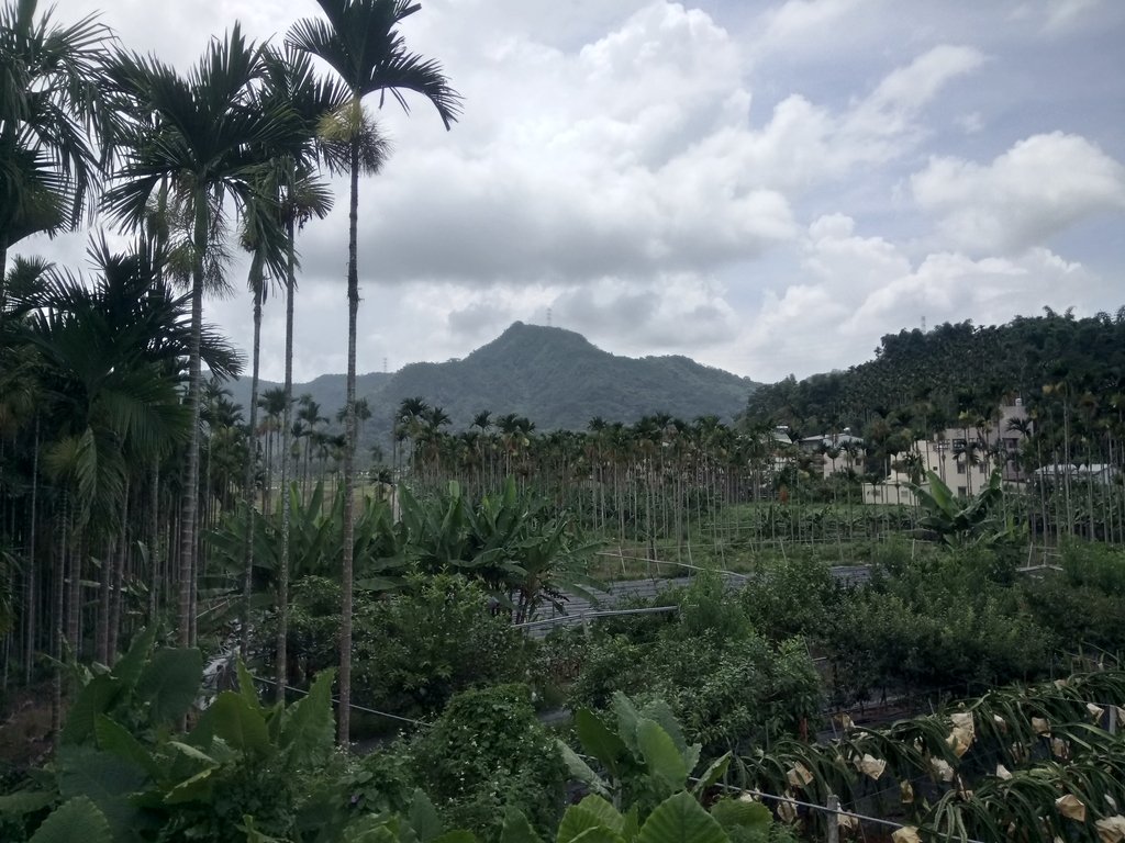 DSC_0245.JPG - 魚池  頭社  後尖山步道