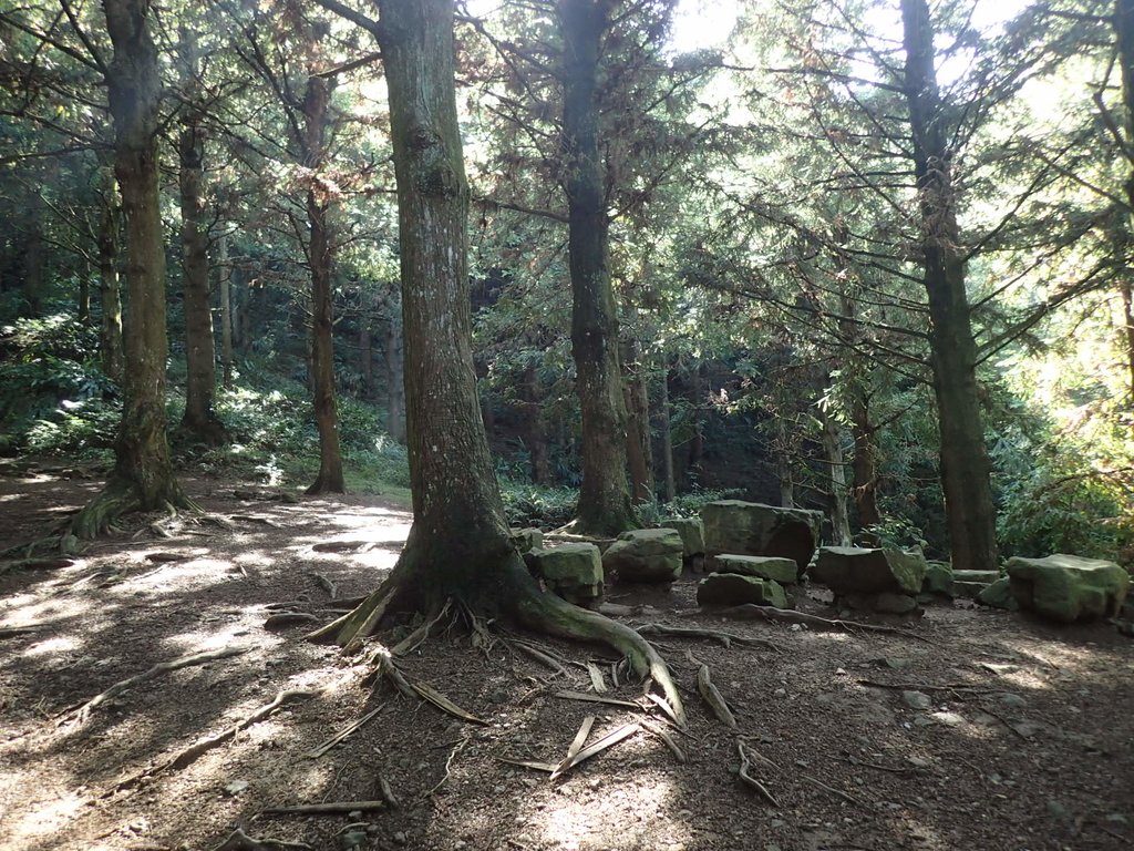 P7235820.JPG - 台中和平  長壽山登山步道  (上)