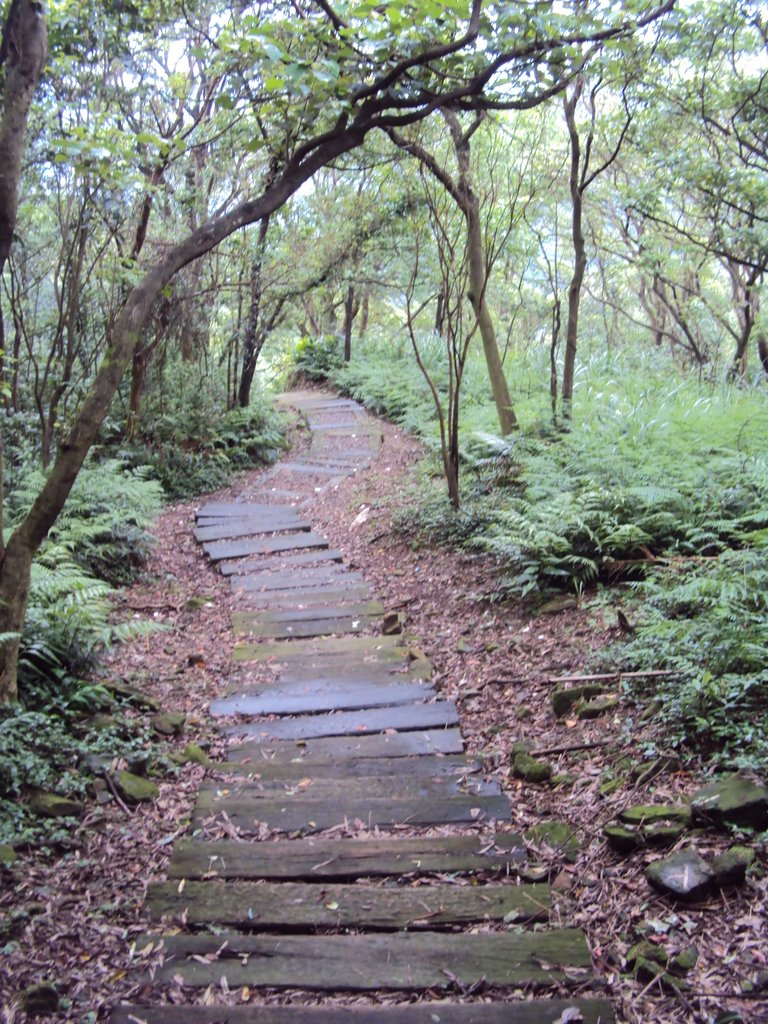 DSC07600.JPG - 瑞芳  粗坑口登山步道