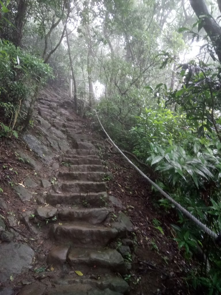 DSC_1737.JPG - 土城  天上山  登山步道