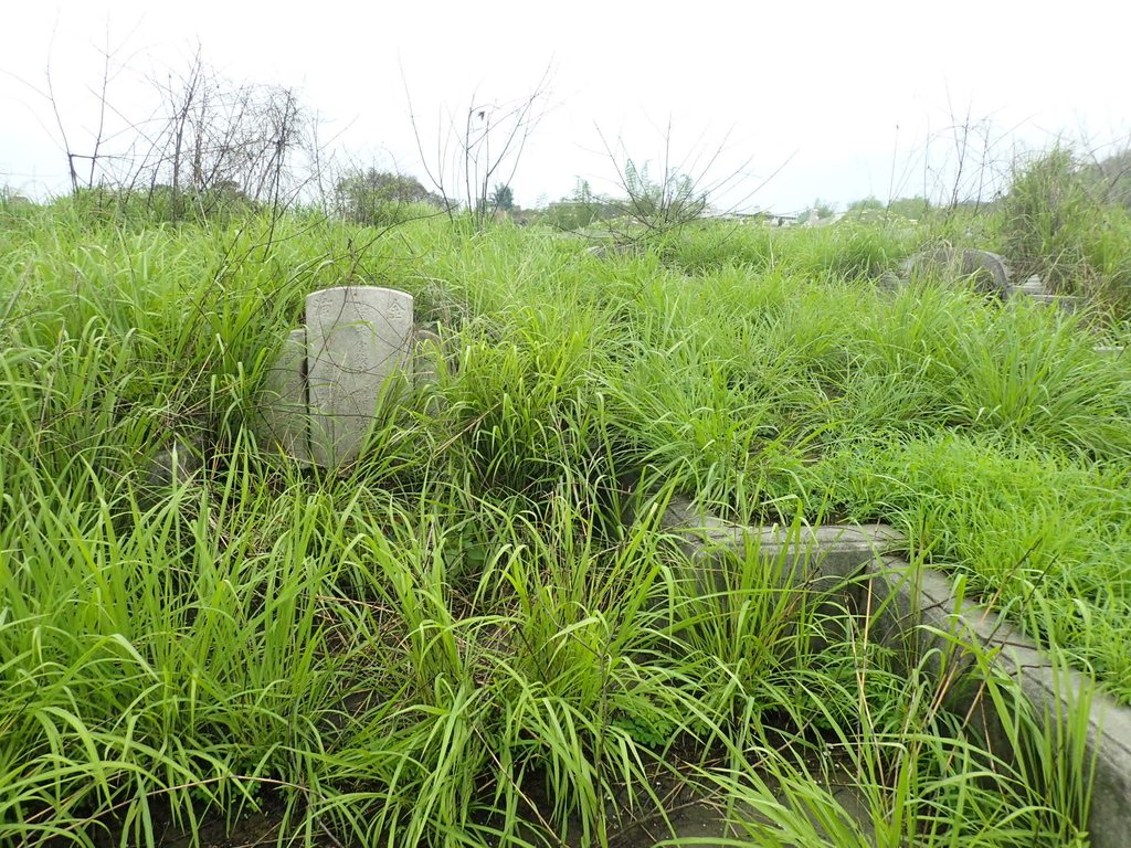 P4214456.JPG - 草屯  茄荖山  古墓踏查