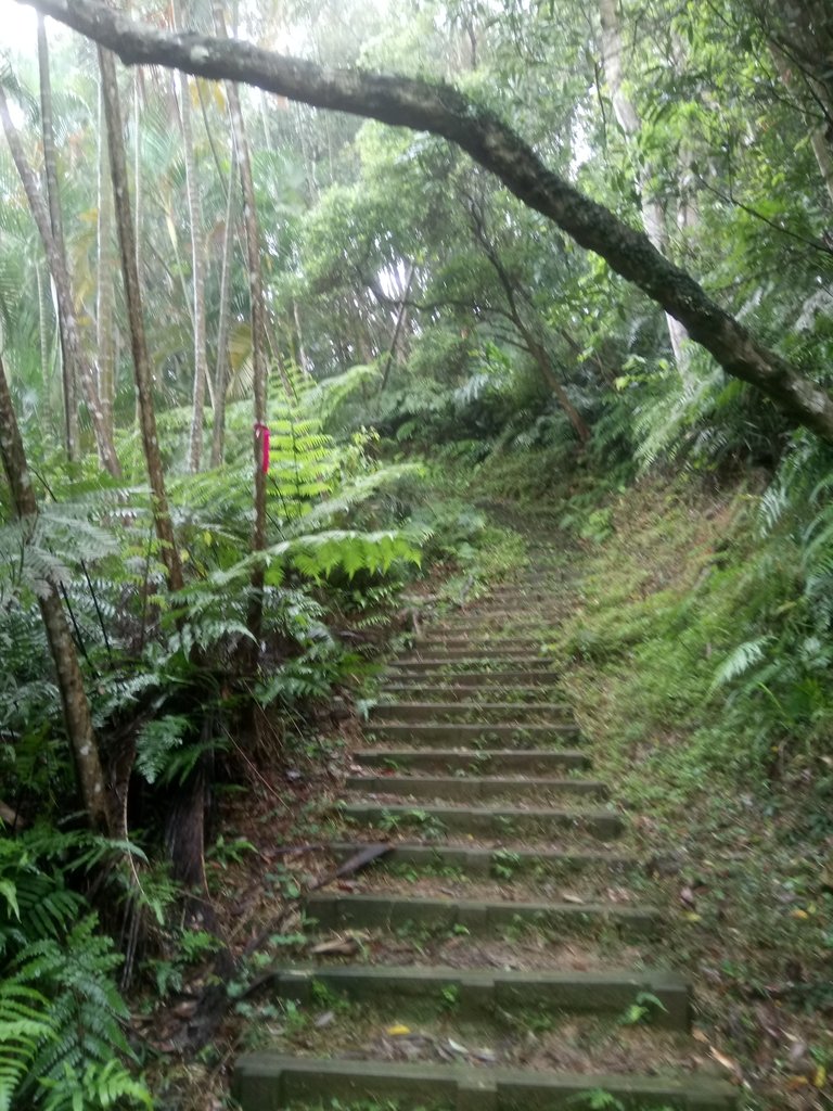 DSC_8459.JPG - 深坑  炮子崙登山步道