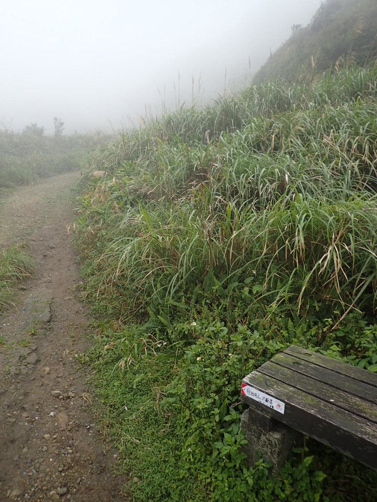 P1203423.JPG - 瑞芳  牡丹山