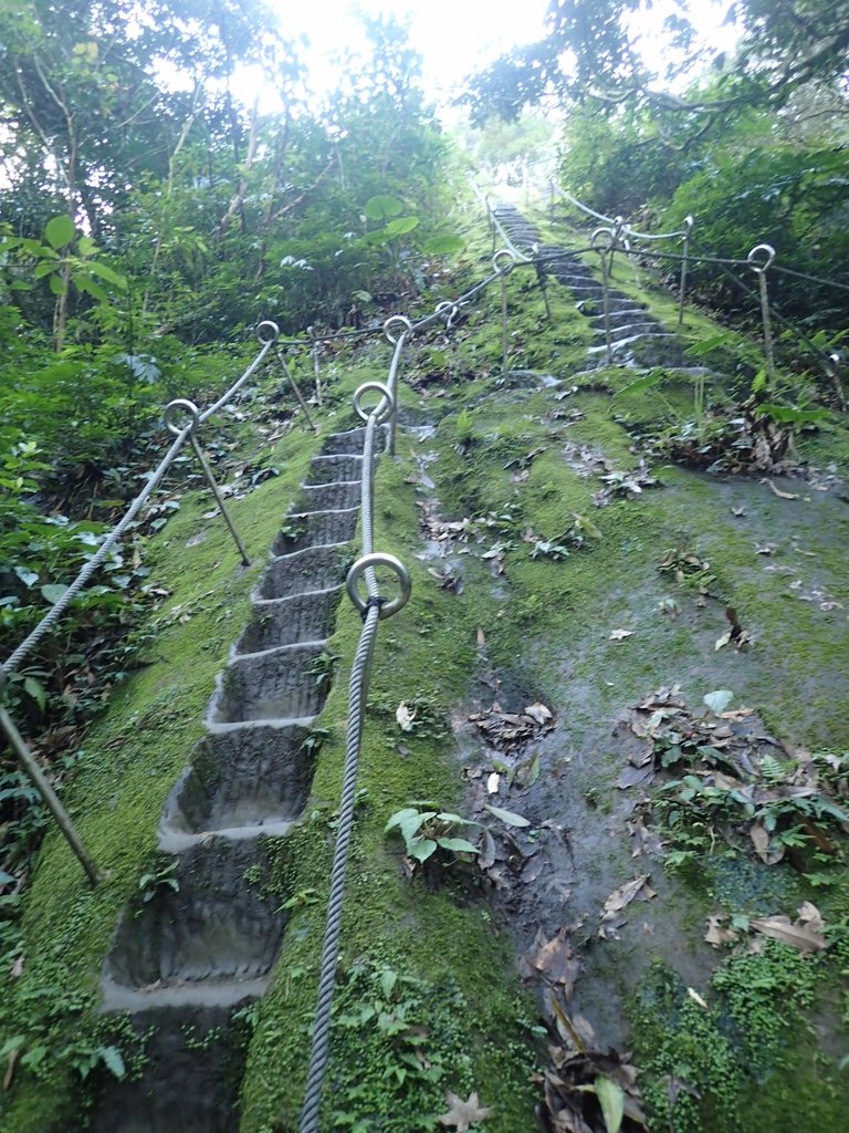 P1224303.JPG - 再訪---  平溪  孝子山登山步道