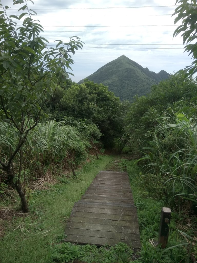 DSC_5362.JPG - 九份  小粗坑越嶺古道