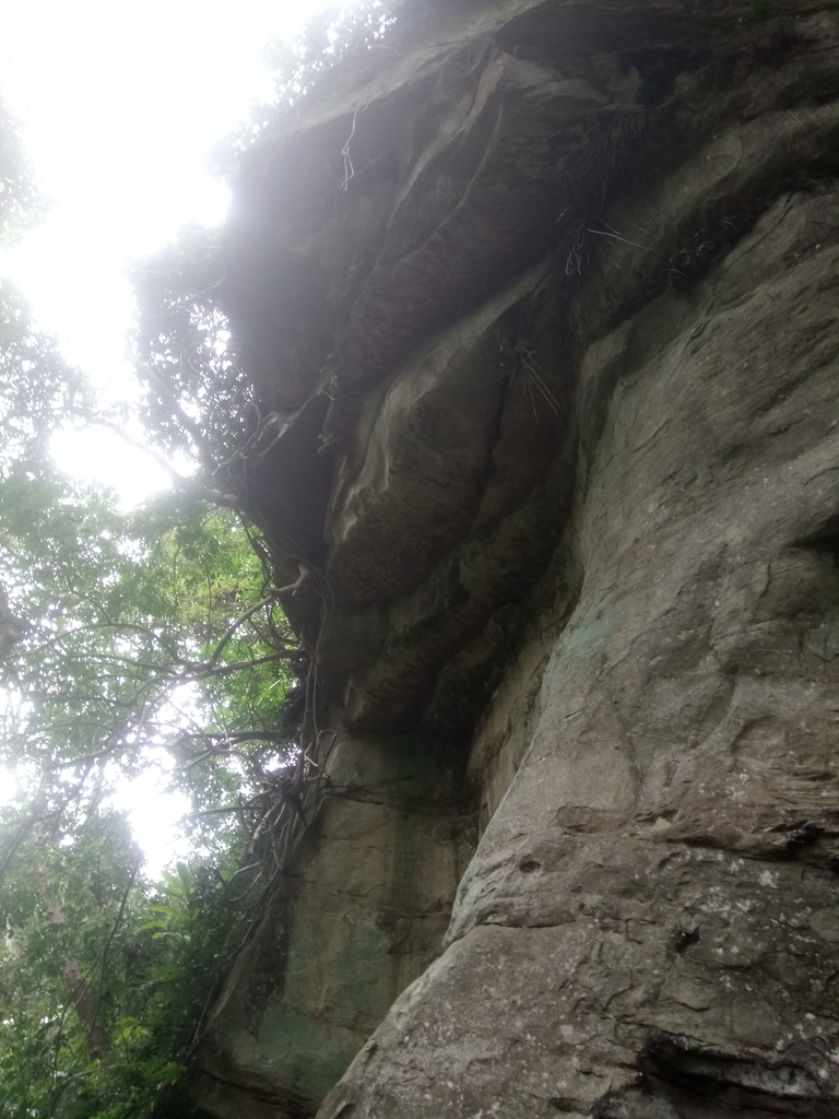 DSC_2848.JPG - 獅頭山  獅山古道  (02)