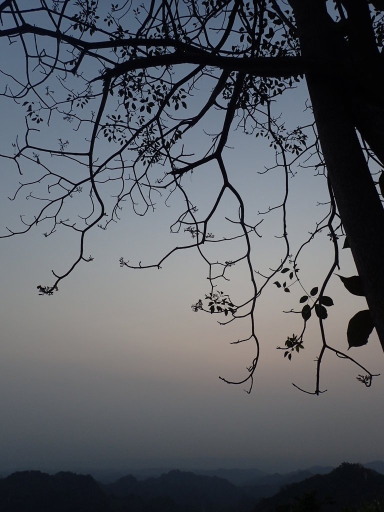 P3167417.JPG - 太平  赤崁頂之  暮色