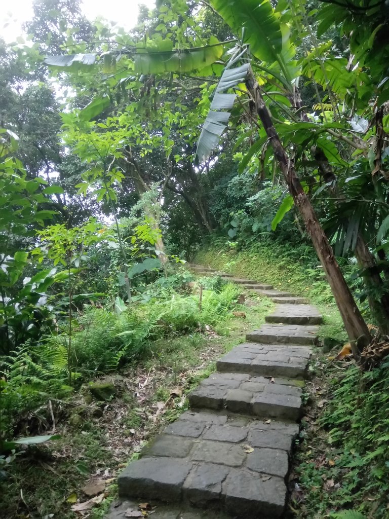 DSC_9244.JPG - 內湖  白鷺鷥山親山步道