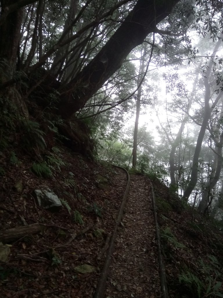 DSC_3752.JPG - 南庄  加里山  森林鐵道