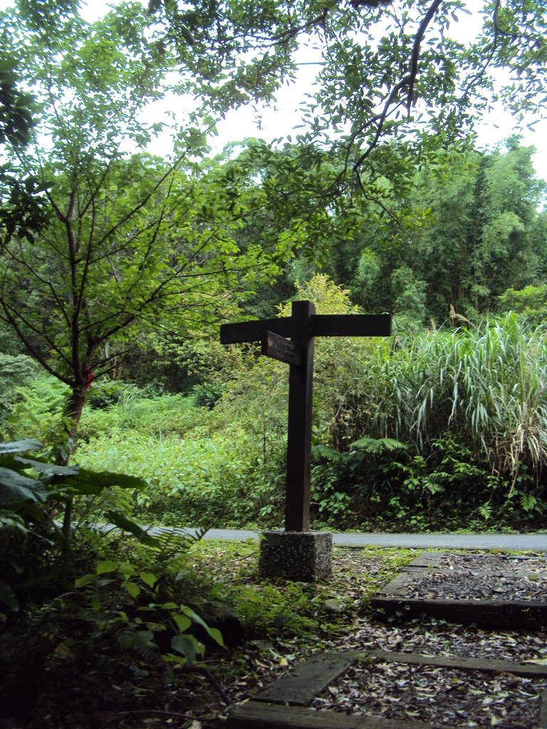 DSC07606.JPG - 瑞芳  粗坑口登山步道