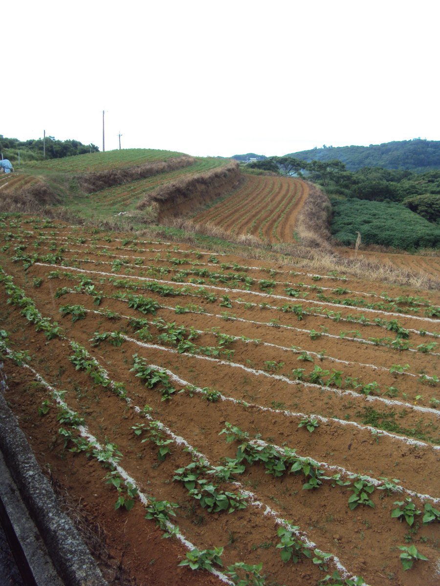 DSC09085.JPG - 石門  小坑田野之美