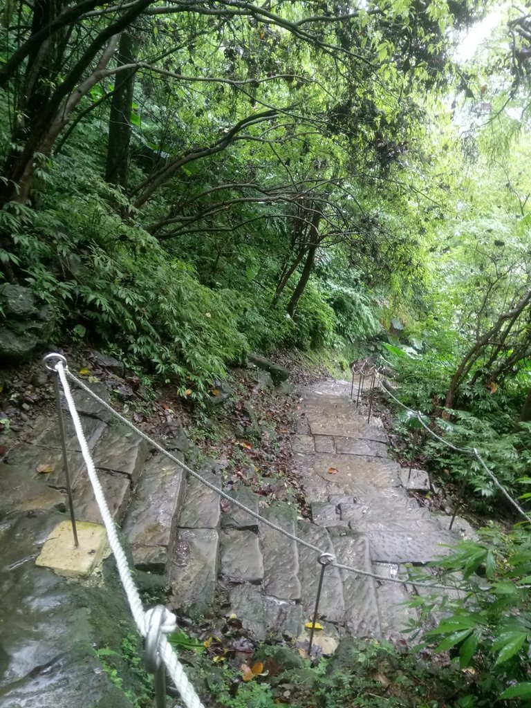 DSC_1744.JPG - 土城  天上山  登山步道