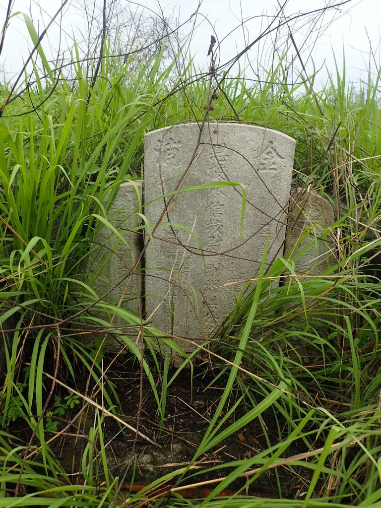 P4214458.JPG - 草屯  茄荖山  古墓踏查