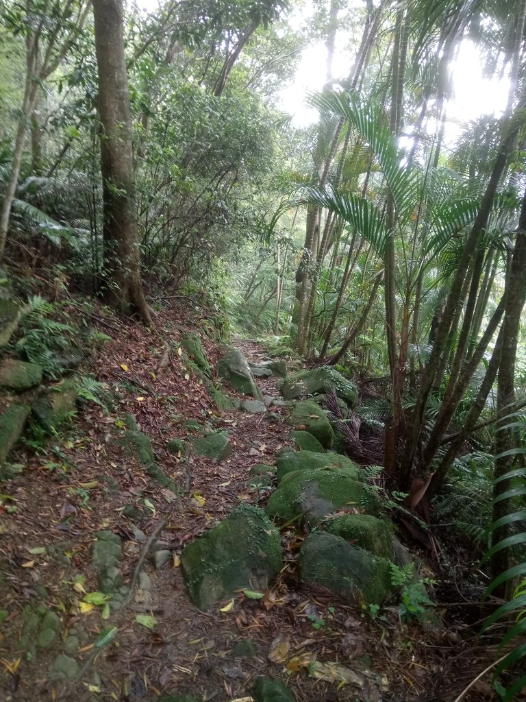 DSC_8462.JPG - 深坑  炮子崙登山步道