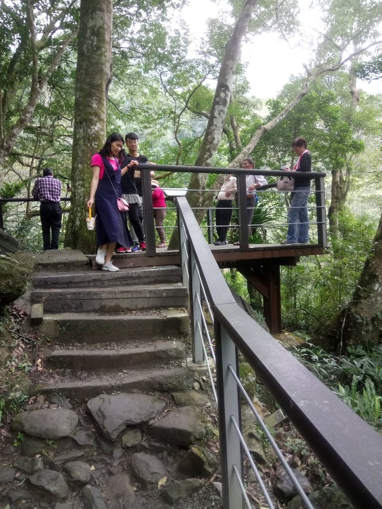 DSC_6126.JPG - 三峽  滿月圓森林遊樂區