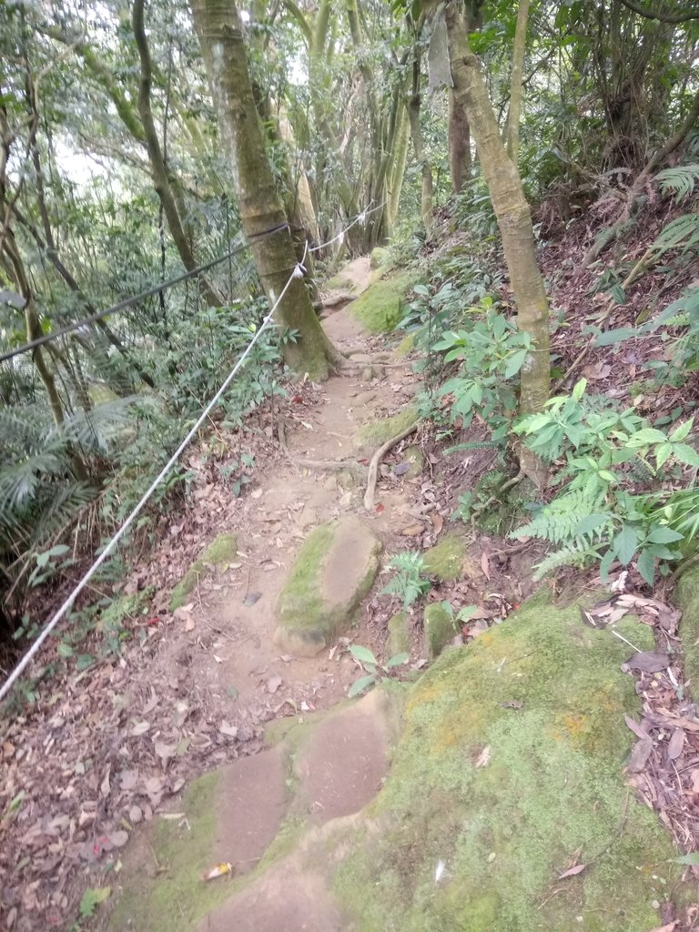 DSC_5171.JPG - 三峽  鳶山  (福德坑山)