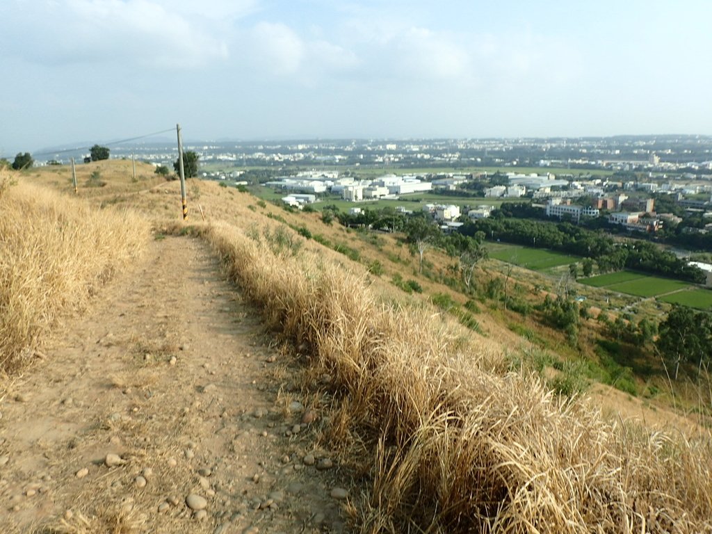 PA161000.JPG - 大甲  鐵砧山大草原