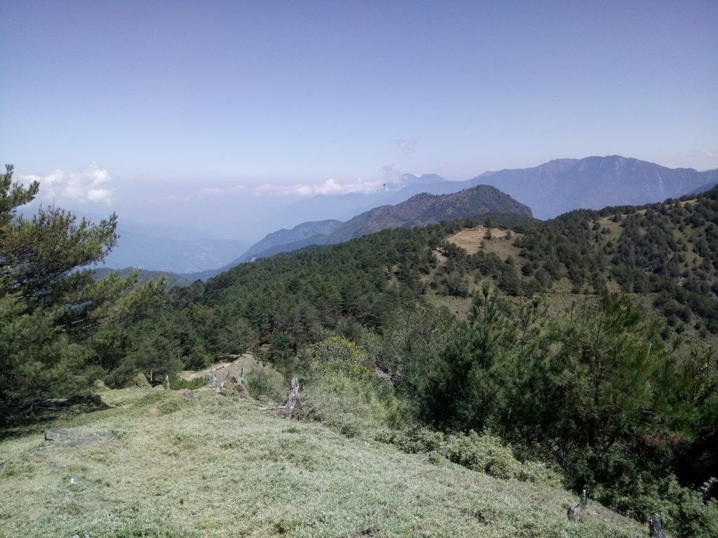 DSC_1699.JPG - 鹿林山  麟趾山步道  (02)