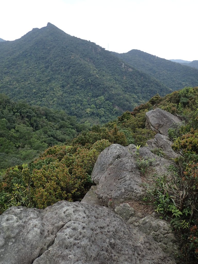 P3160134.JPG - 汐止  金面山(金明山)  稜線步道