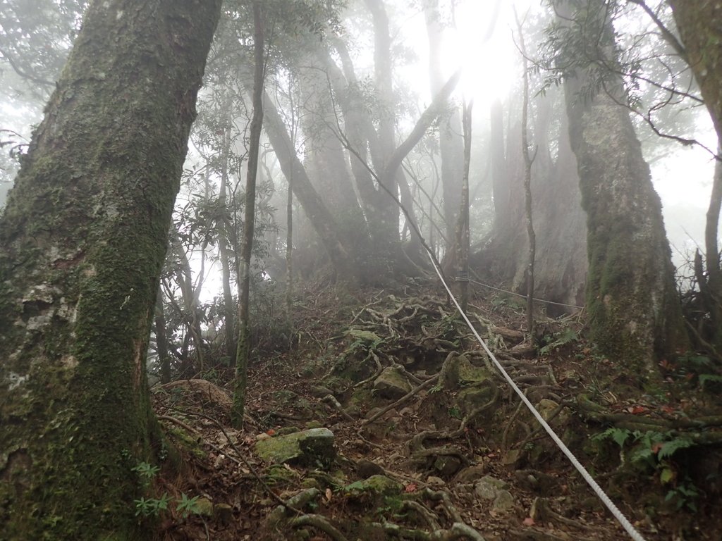 PA185692.JPG - 台中  和平  稍來山南峰