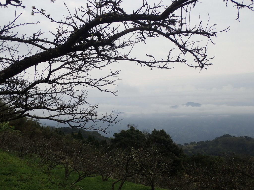 P1294556.JPG - 大湖  關刀山步道  (聖關段)