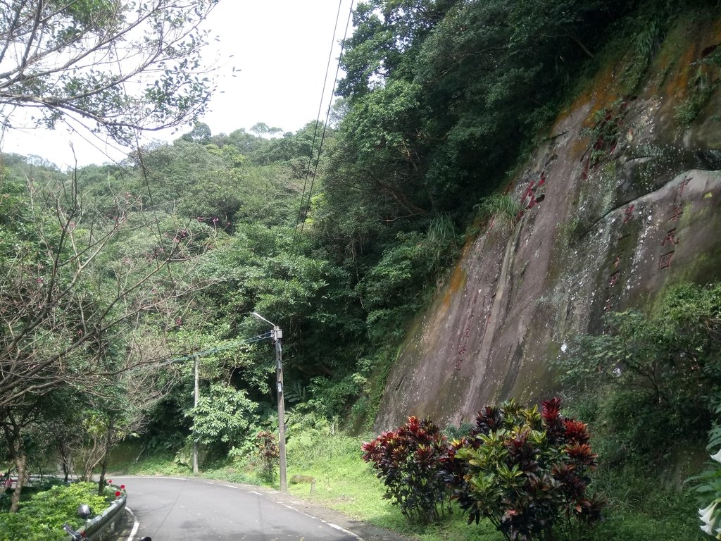 DSC_5299.JPG - 瑞芳  白象山(弘明山) 未竟