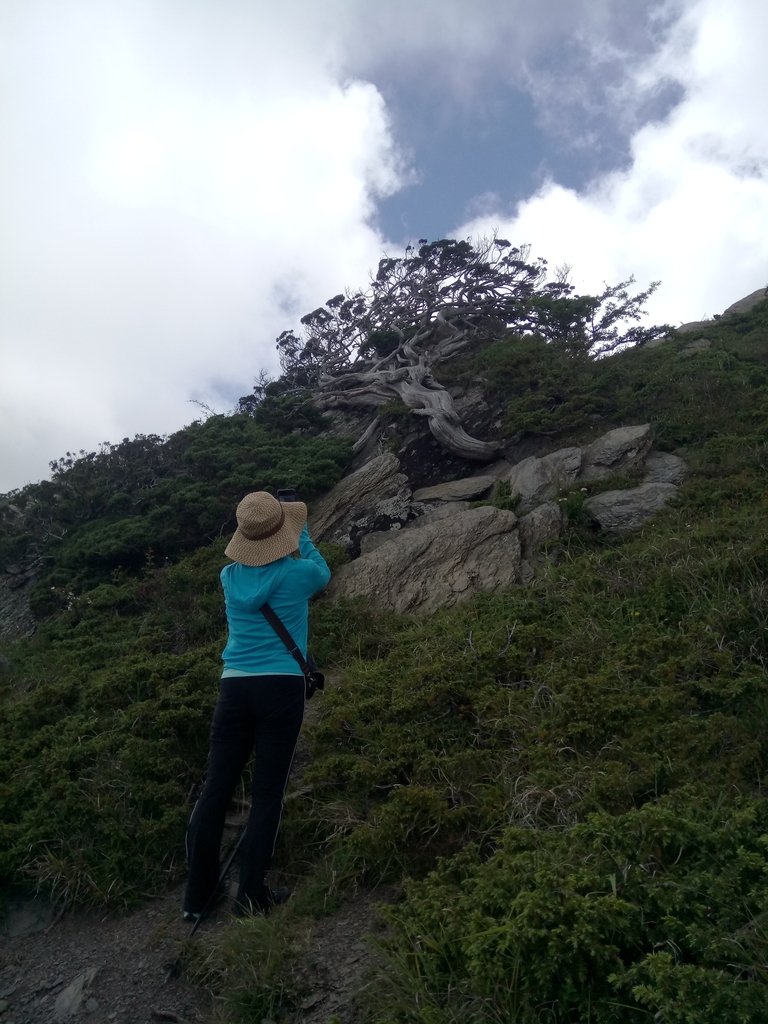 DSC_5428.JPG - 合歡山  北峰之美  (下)