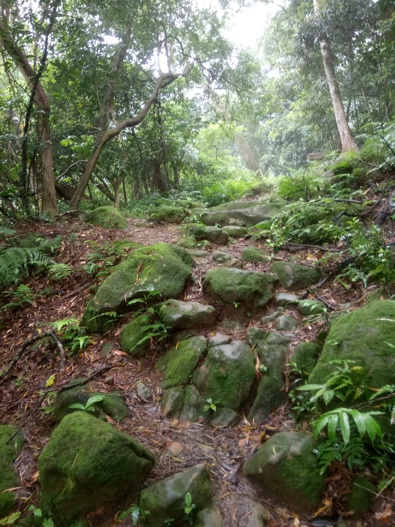 DSC_8463.JPG - 深坑  炮子崙登山步道