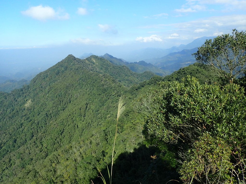 PC010615.JPG - 獅潭  仙山