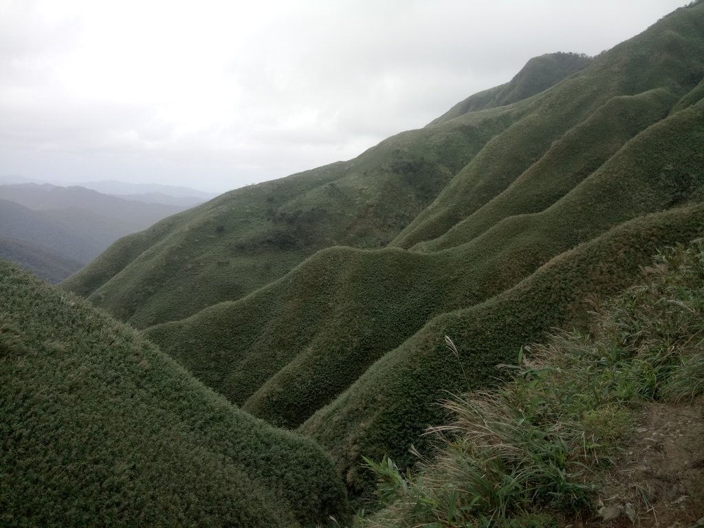 DSC_2825.JPG - 礁溪  聖母登山步道  (抹茶山)