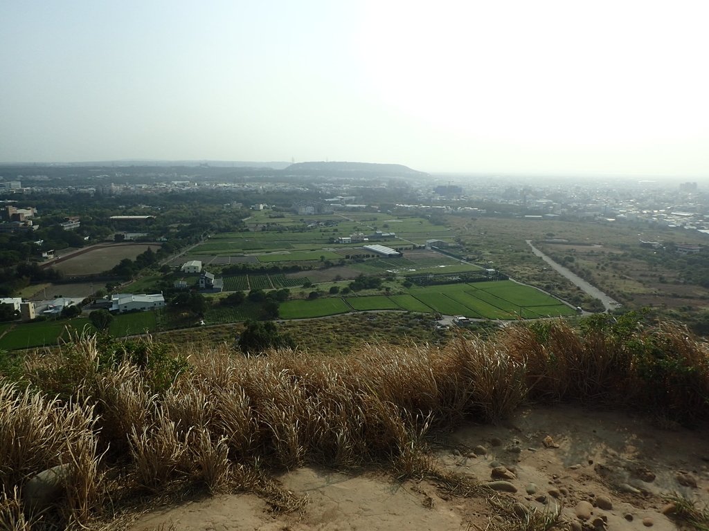 PA161001.JPG - 大甲  鐵砧山大草原