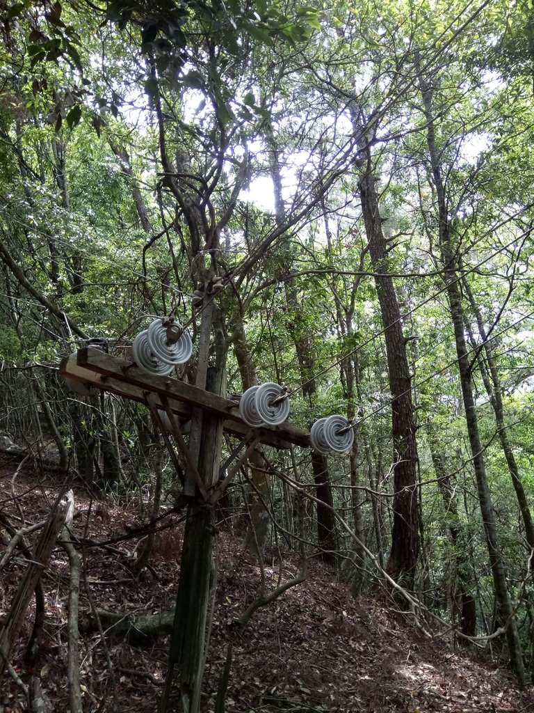 DSC_6477.JPG - 谷關七雄之  波津加山