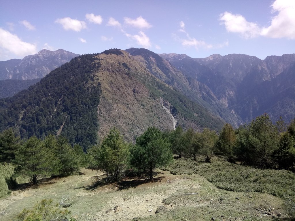 DSC_1713.JPG - 鹿林山  麟趾山步道  (02)