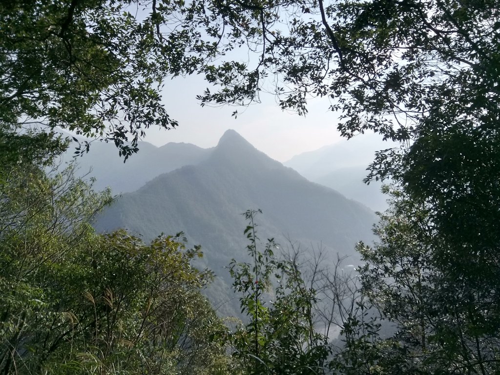 DSC_0726.JPG - 谷關七雄  白毛山  01