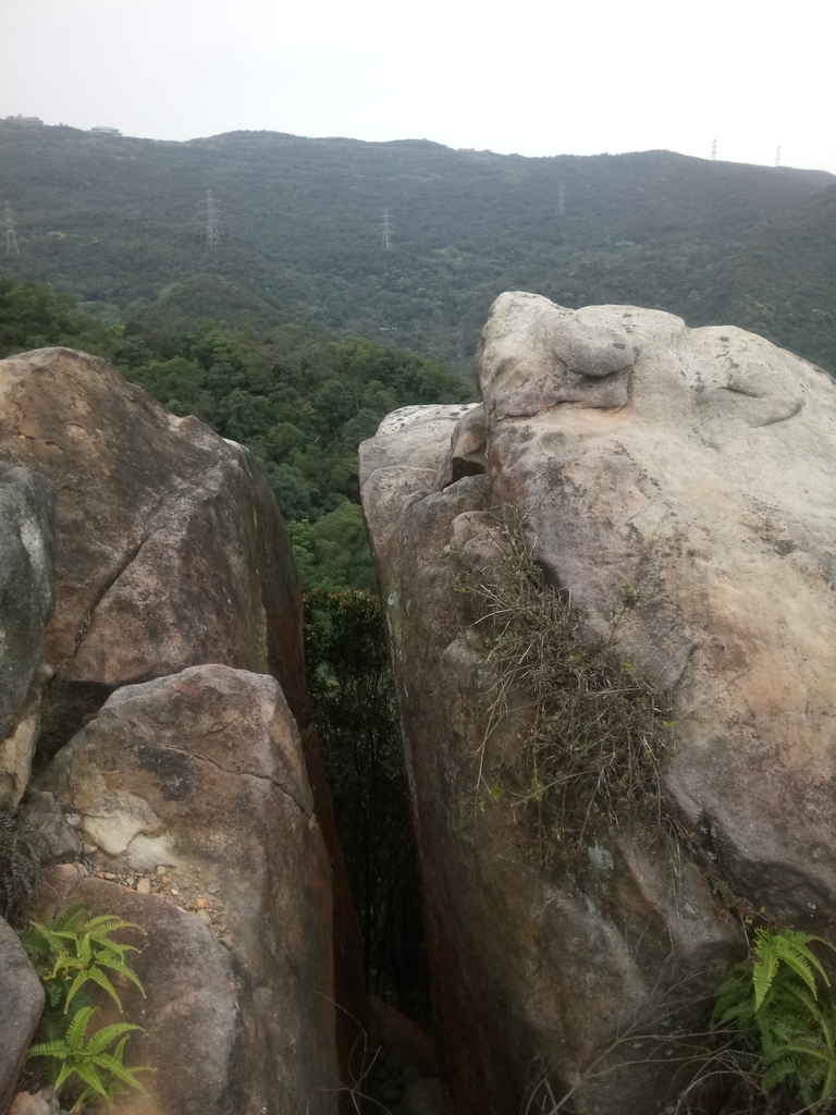 DSC_7033.JPG - 汐止  金面山(金明山)  稜線步道