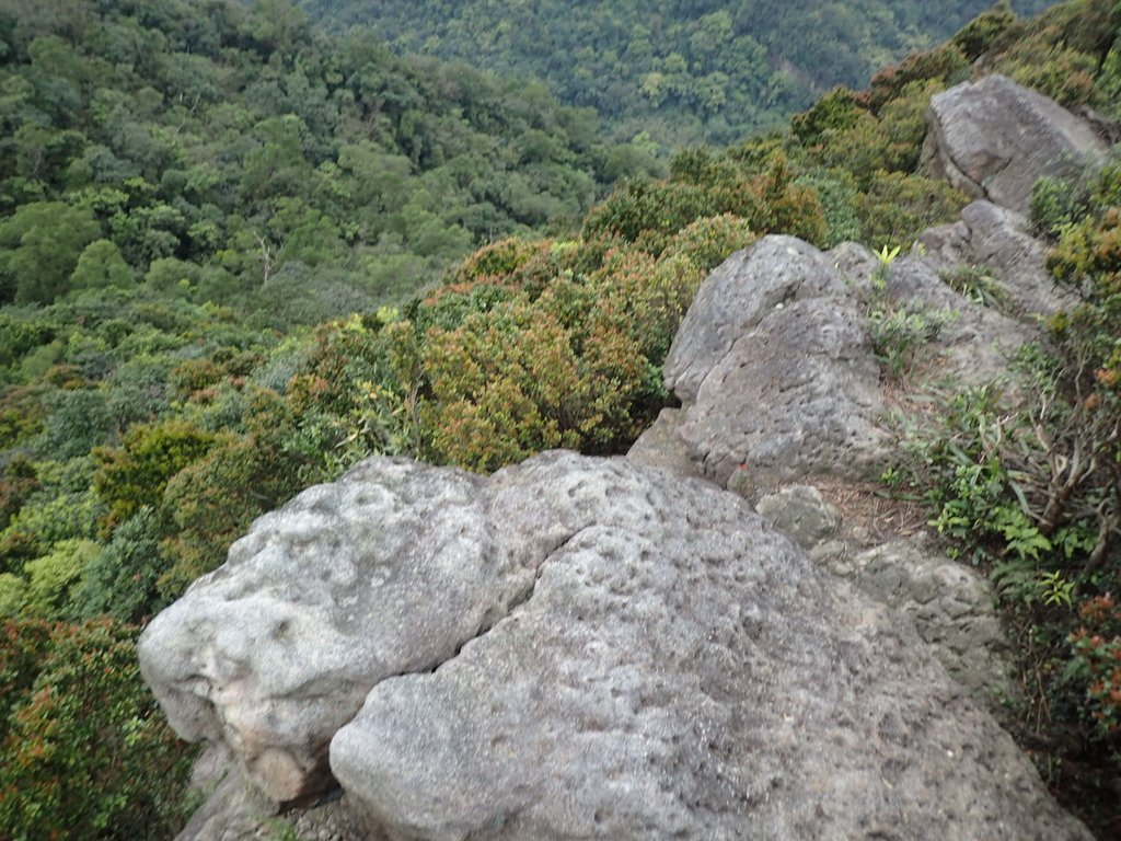 P3160135.JPG - 汐止  金面山(金明山)  稜線步道