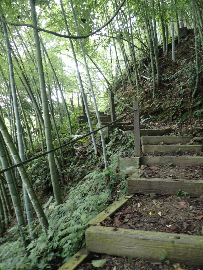 P9017415.JPG - 魚池  頭社  後尖山步道