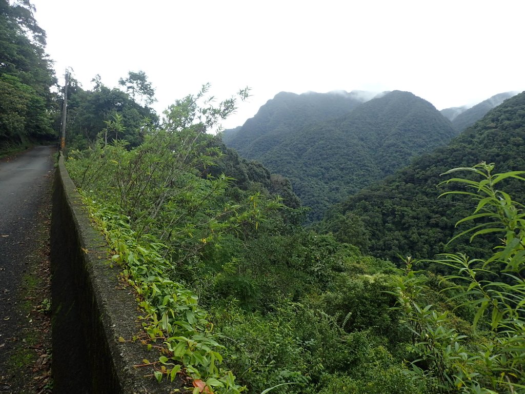 PA110773.JPG - 烏來  內洞林道