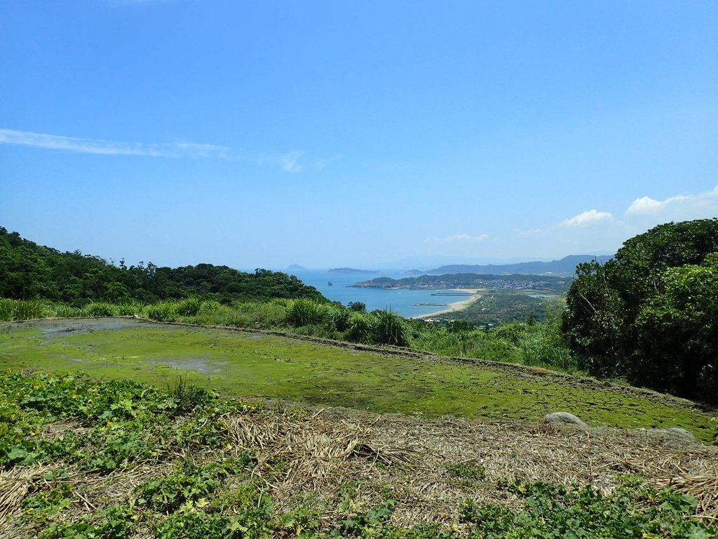 P7296129.JPG - 金山  西勢湖  遠眺中角灣