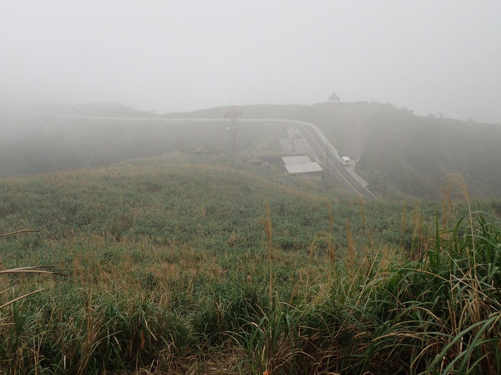 P1203512.JPG - 瑞芳  牡丹山