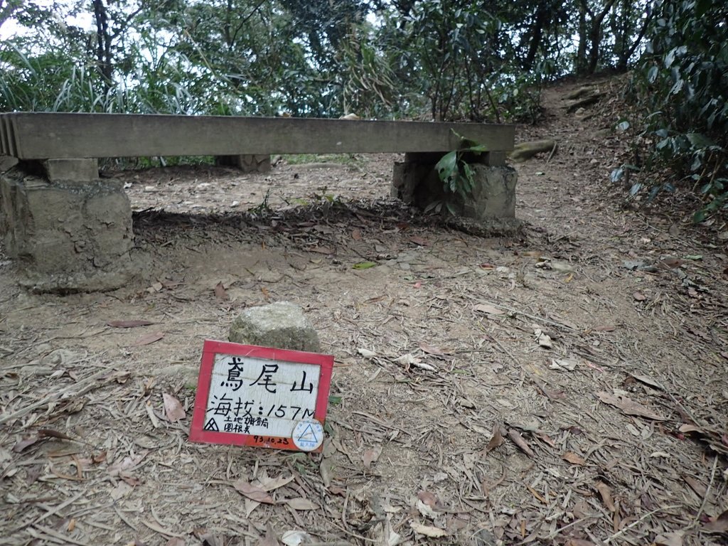 P2167985.JPG - 三峽  鳶尾山登山步道