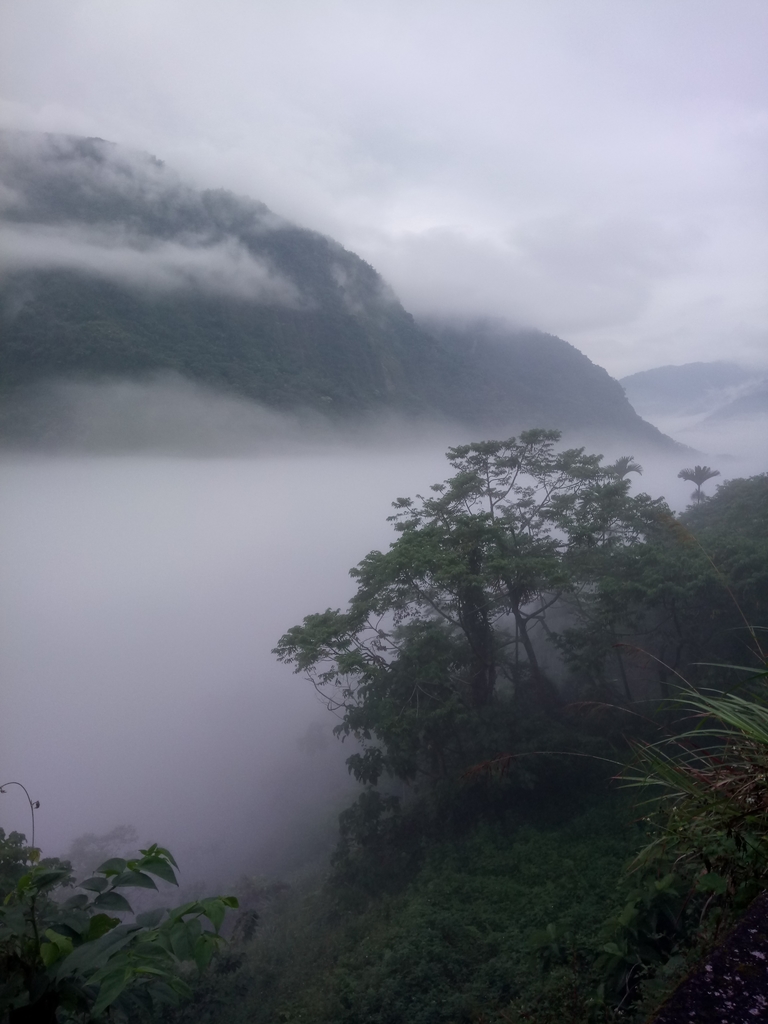 DSC_1143.JPG - 古坑  草嶺  雲山繚繞