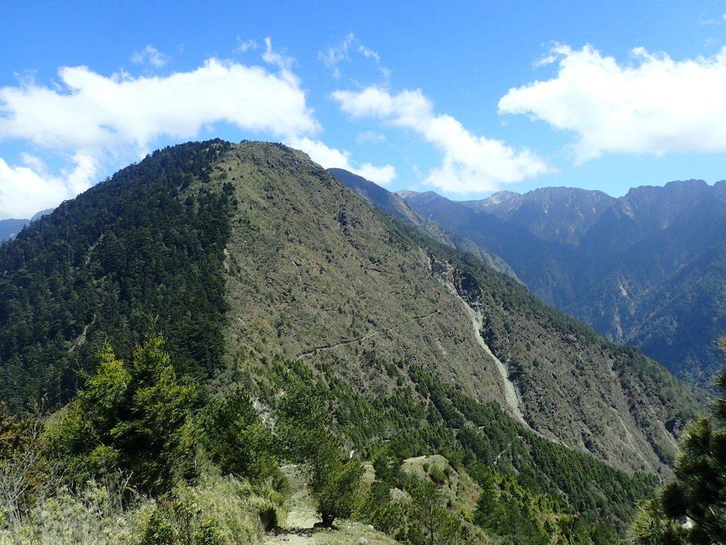 P3268177.JPG - 鹿林山  麟趾山步道  (02)