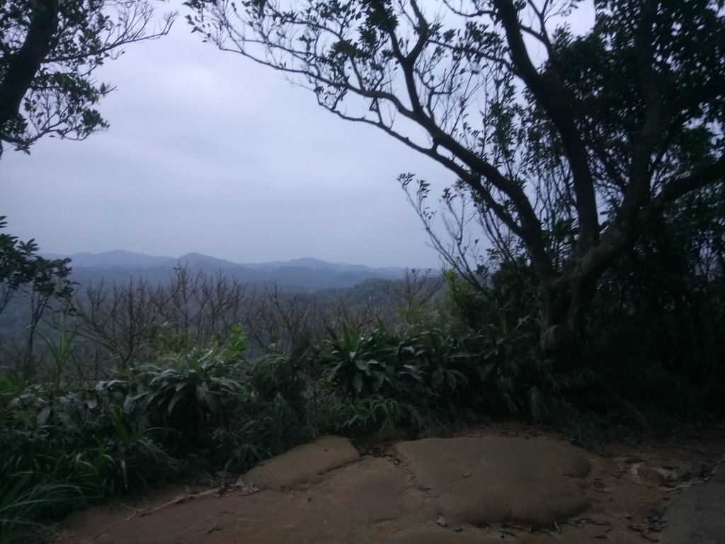 DSC_9268.JPG - 內湖  白鷺鷥山親山步道