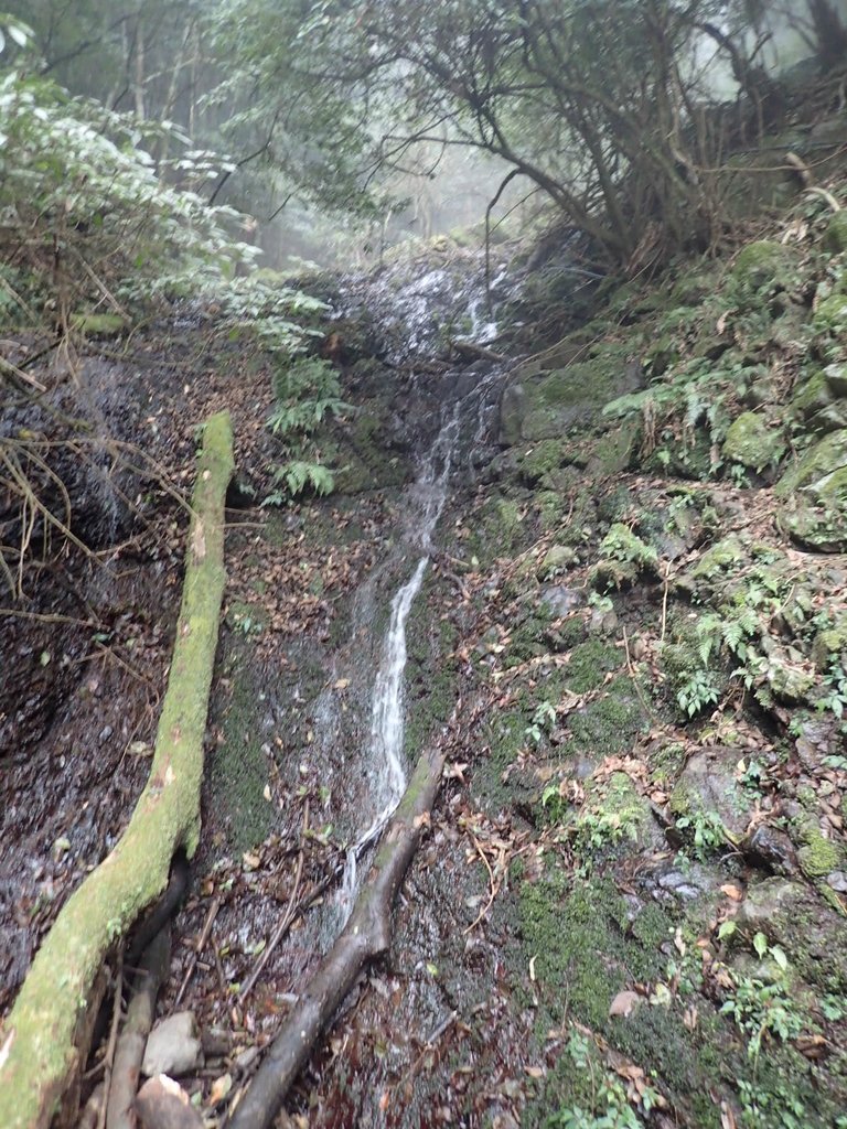 P2034984.JPG - 南庄  加里山  森林鐵道